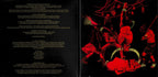 Queens Of The Stone Age – In Times New Roman... (CD)