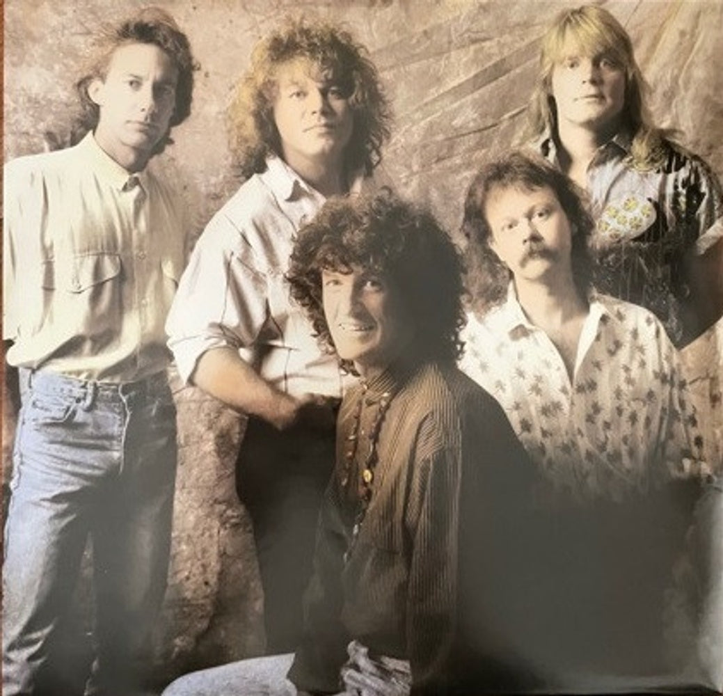 REO Speedwagon – The Hits (LP Vinyl)