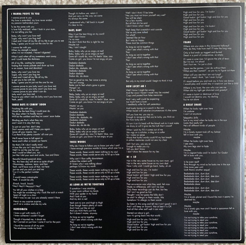 The Lemon Twigs – Do Hollywood (LP Vinyl)