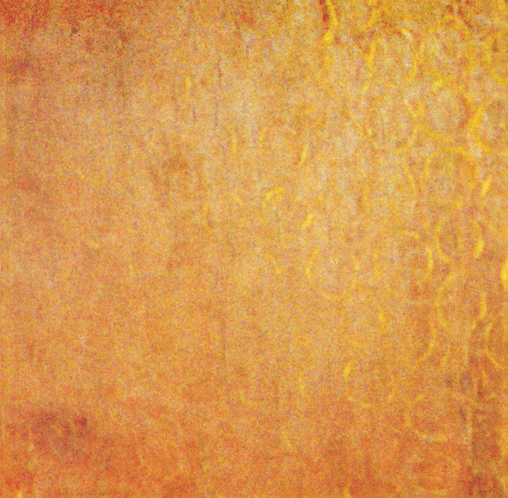 Dead Can Dance – Aion (LP Vinyl)