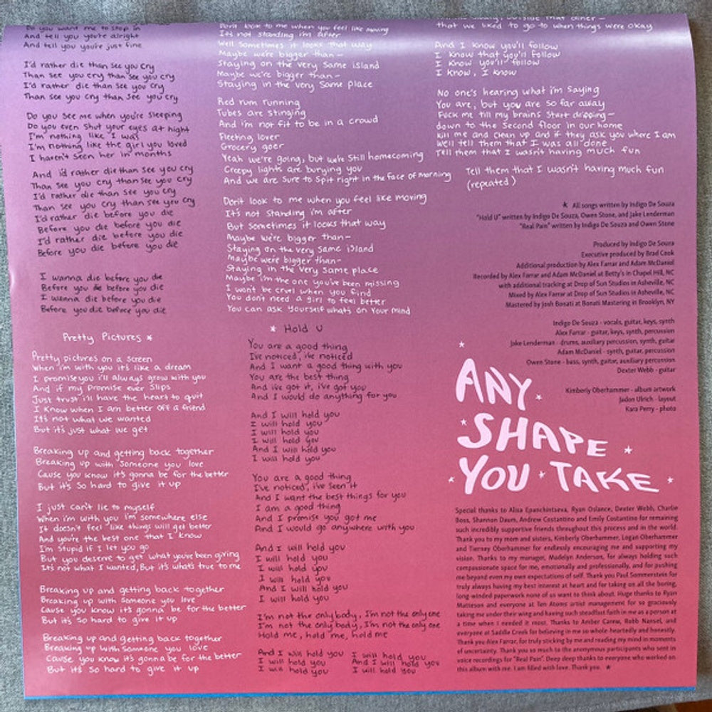 Indigo De Souza – Any Shape You Take (LP Vinyl)