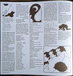 Parquet Courts – Human Performance (LP Vinyl)