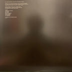 SBTRKT – Wonder Where We Land (LP Vinyl)