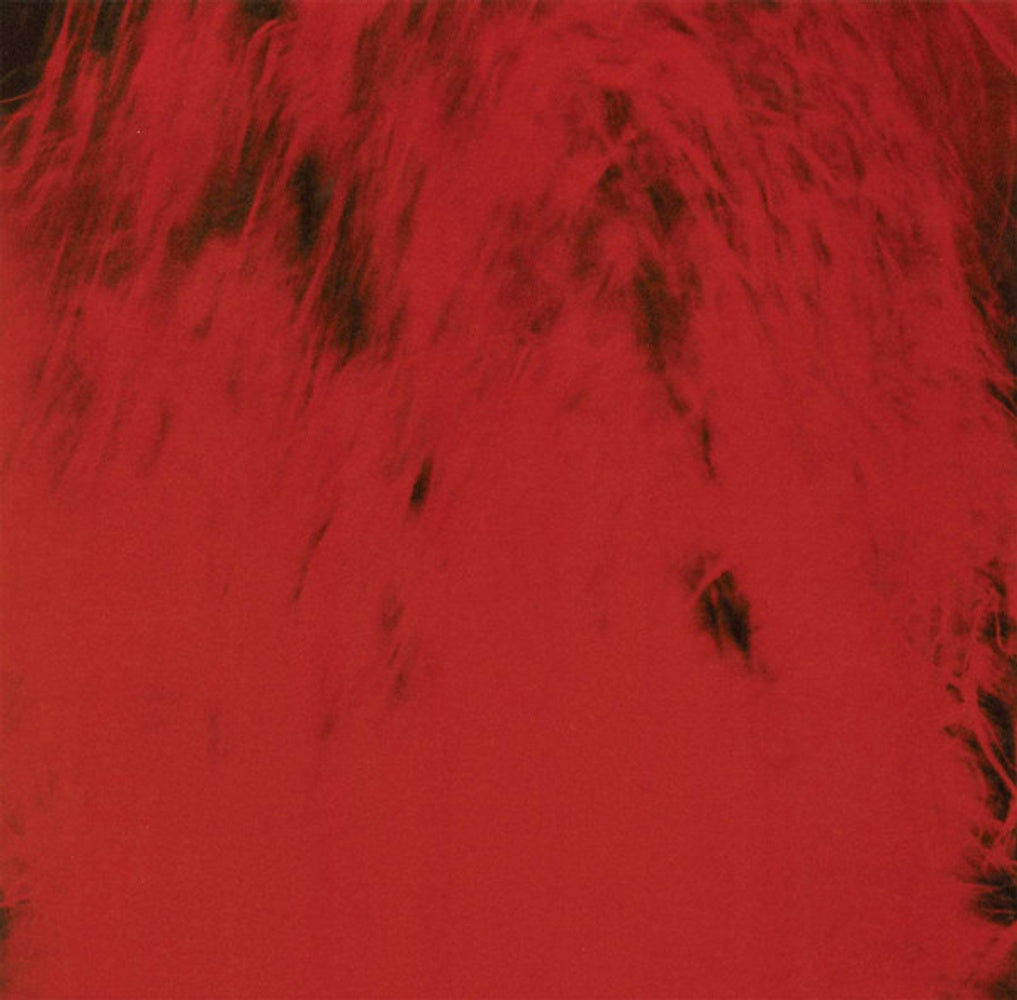 Dead Can Dance – Spiritchaser (2-LP Vinyl)