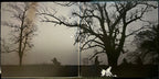 Don Henley – Cass Country (2-LP Vinyl)