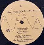 Mary Timony – Mountains (2-LP Vinyl)