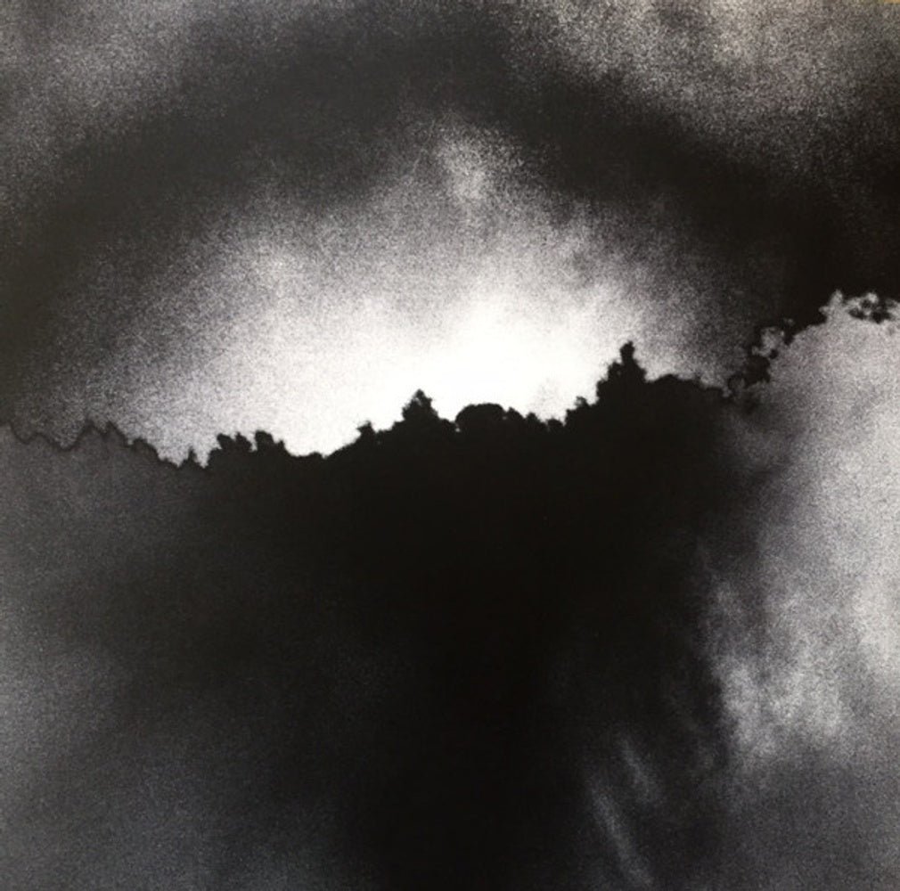 The National – Trouble Will Find Me (2-LP Vinyl)
