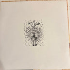 Two Gallants – The Bloom and The Blight (LP Vinyl)