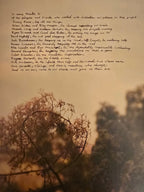 Watchhouse – Blindfaller (LP Vinyl)