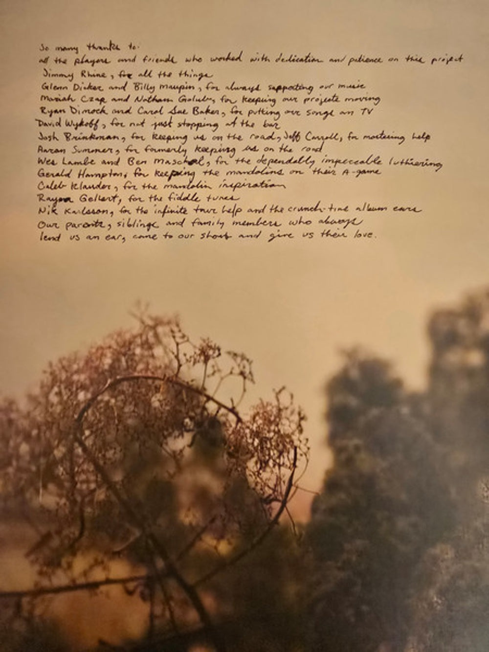 Watchhouse – Blindfaller (LP Vinyl)