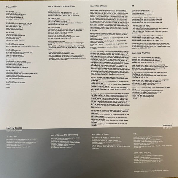 Cameron Winter – Heavy Metal (LP Vinyl)