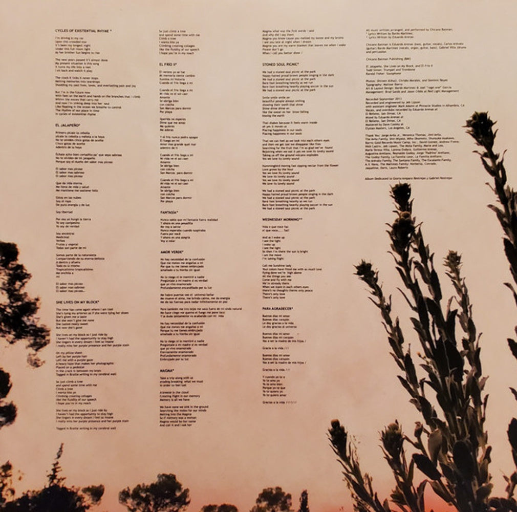 Chicano Batman – Cycles Of Existential Rhyme (LP Vinyl)