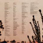 Chicano Batman – Cycles Of Existential Rhyme (LP Vinyl)