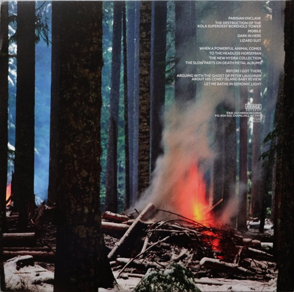 The Mountain Goats – Dark In Here (2-LP Vinyl)