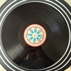 blink-182 – Enema of the State (DSS LP Vinyl)