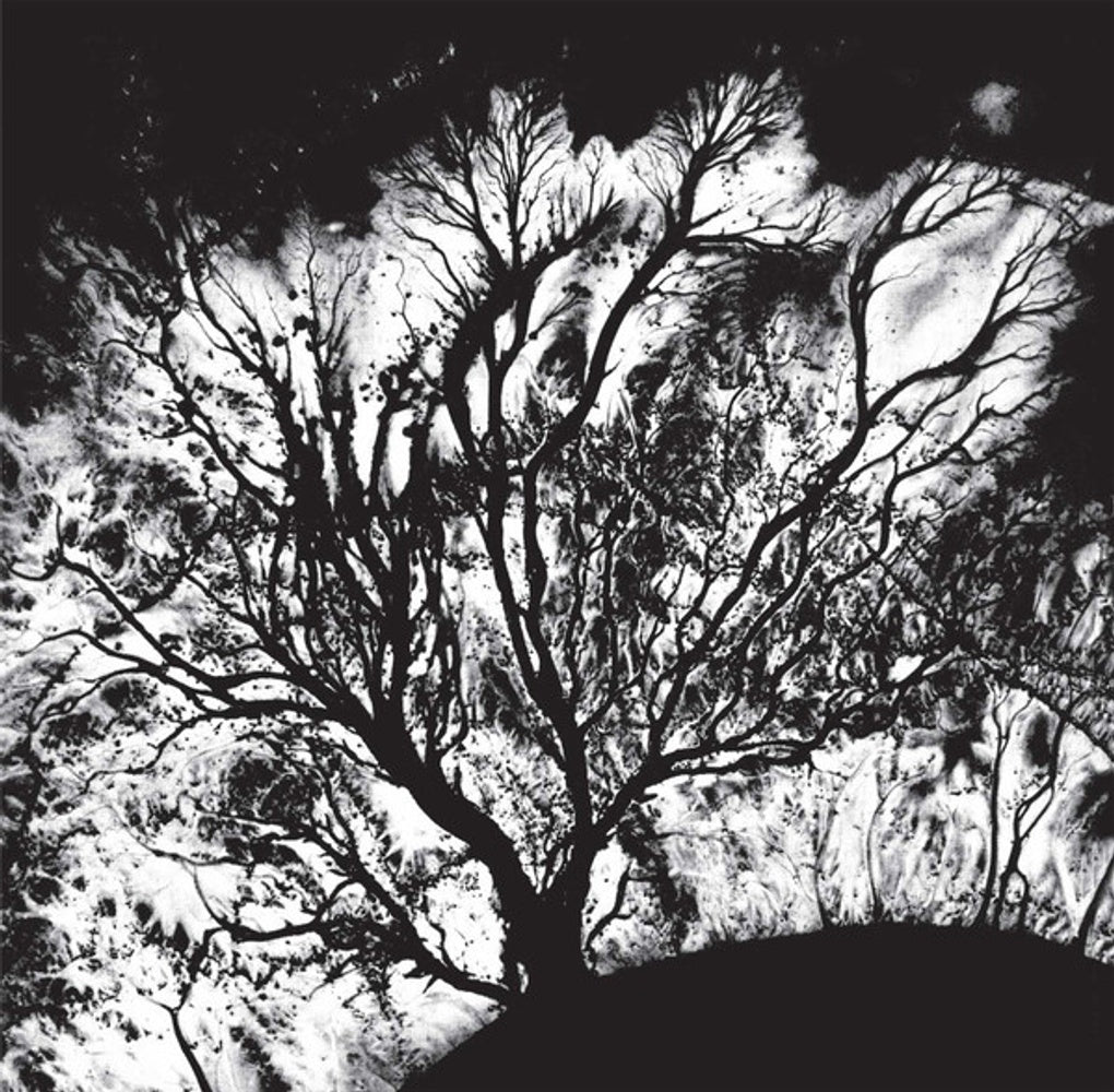 Dead Can Dance – The Serpent's Egg (LP Vinyl)