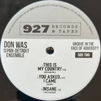Don Was – Groove In The Face Of Adversity (LP Vinyl)
