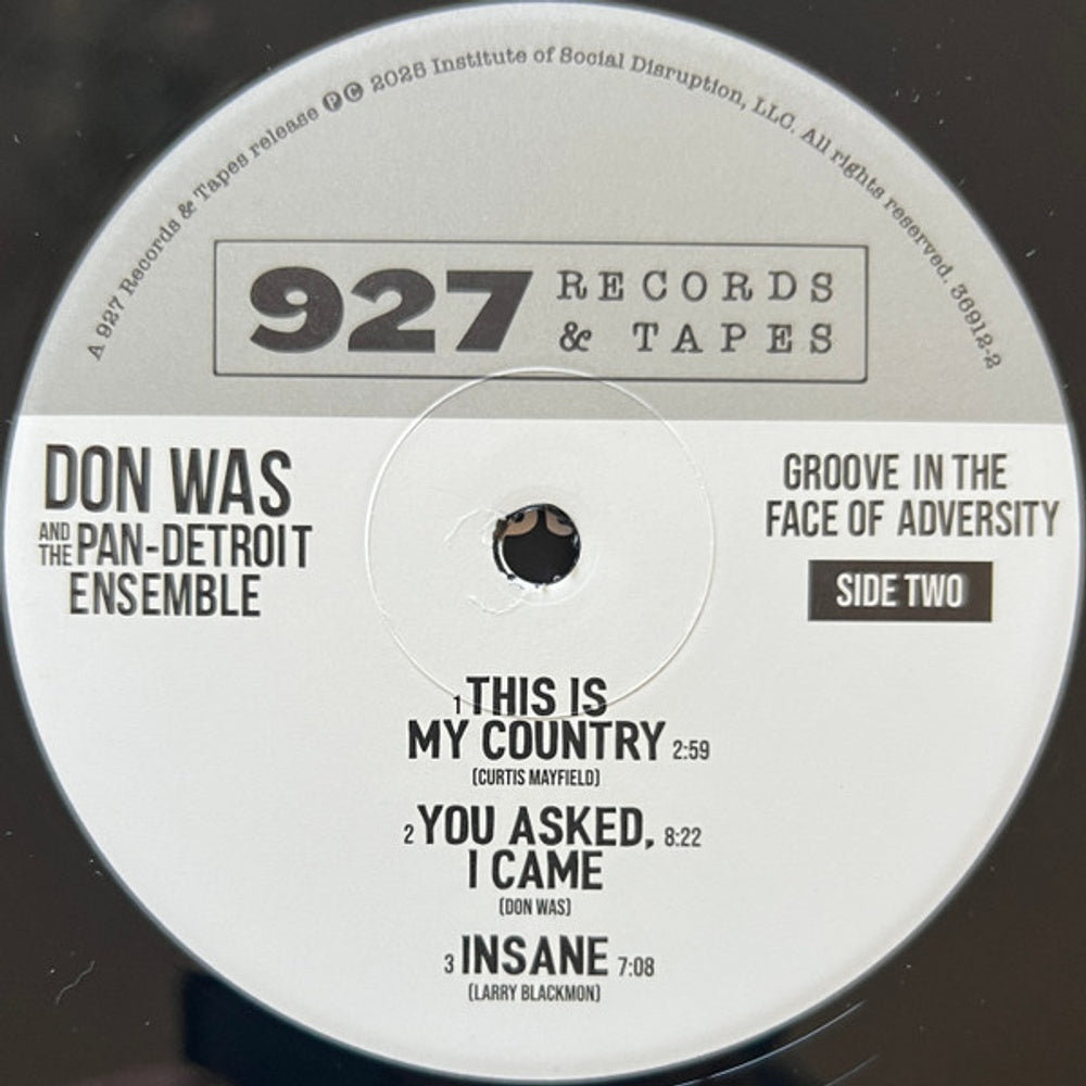 Don Was – Groove In The Face Of Adversity (LP Vinyl)