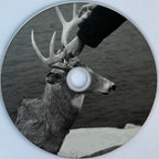 Racing Mount Pleasant – Racing Mount Pleasant (CD)