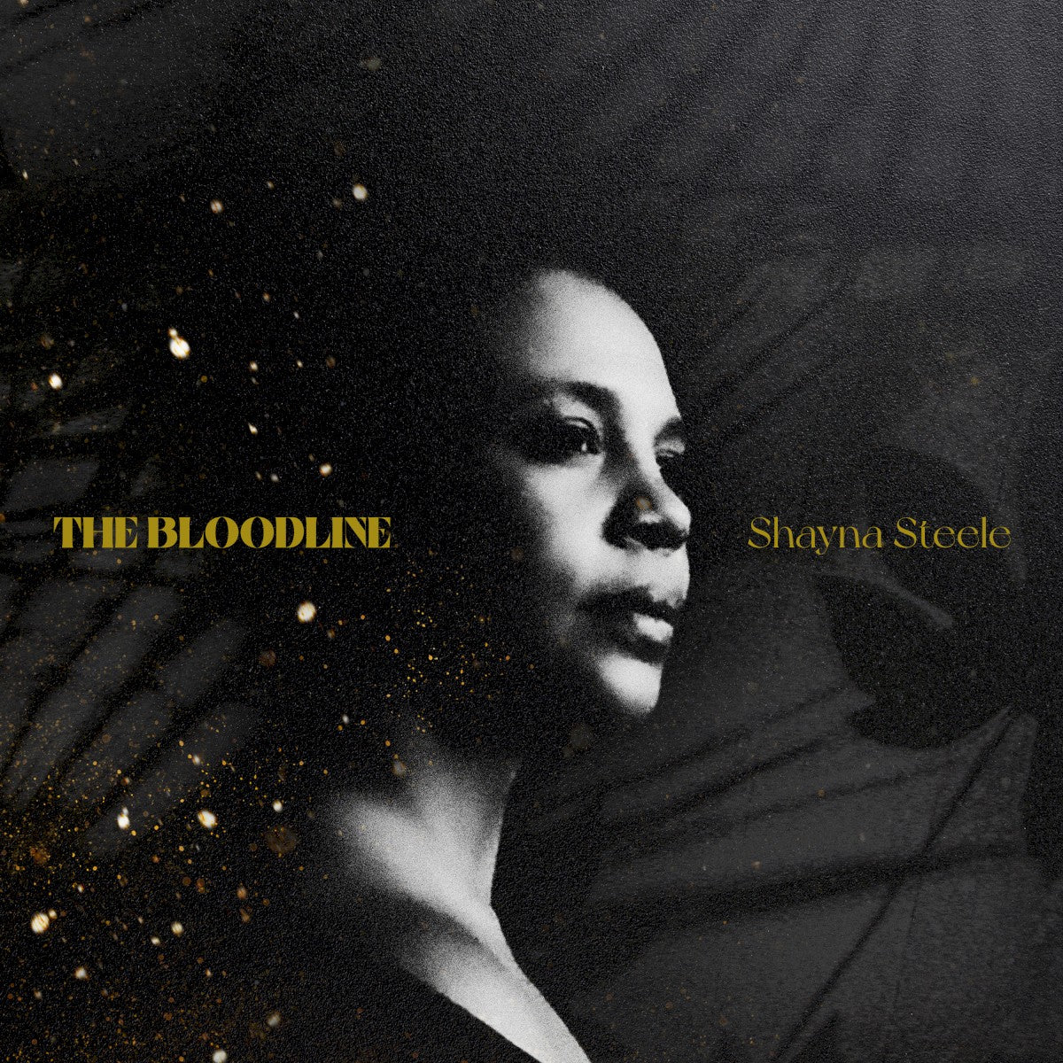 Shayna Steele – Gold Dust (CD)