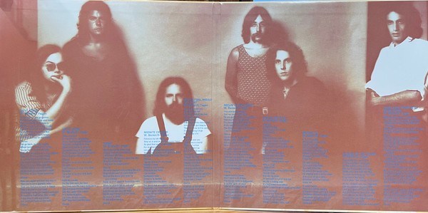 Steely Dan – Can't Buy A Thrill (UHQR 2-LP Vinyl)