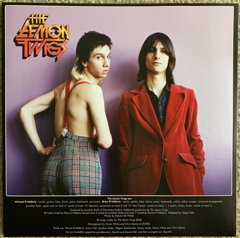 The Lemon Twigs – Do Hollywood (LP Vinyl)