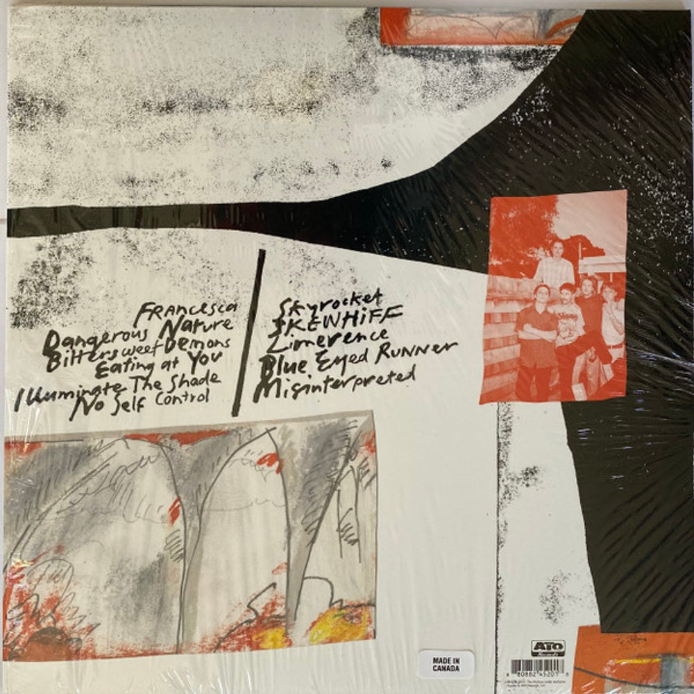 The Murlocs – Bittersweet Demons (LP Vinyl)