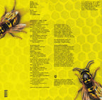Yellowjackets – Yellowjackets (CD)