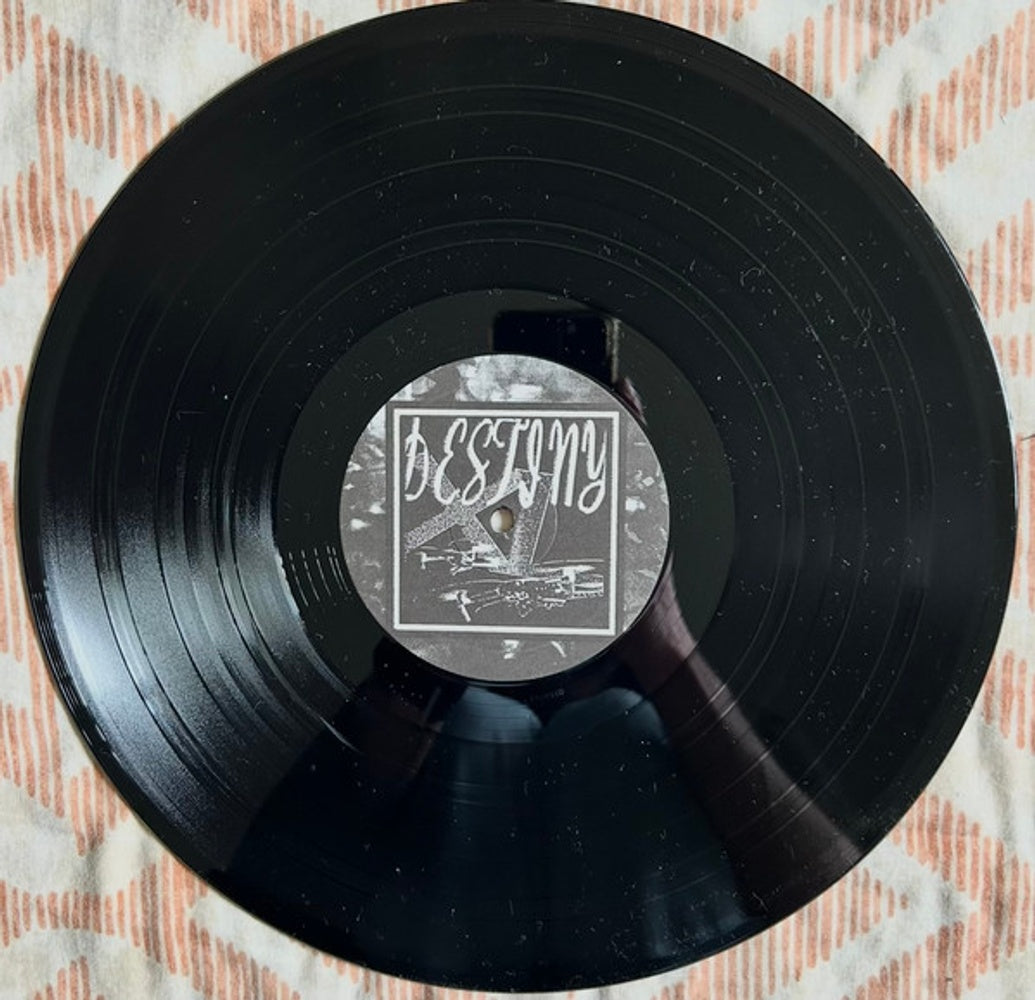 They Are Gutting a Body of Water – Destiny XL (LP Vinyl)