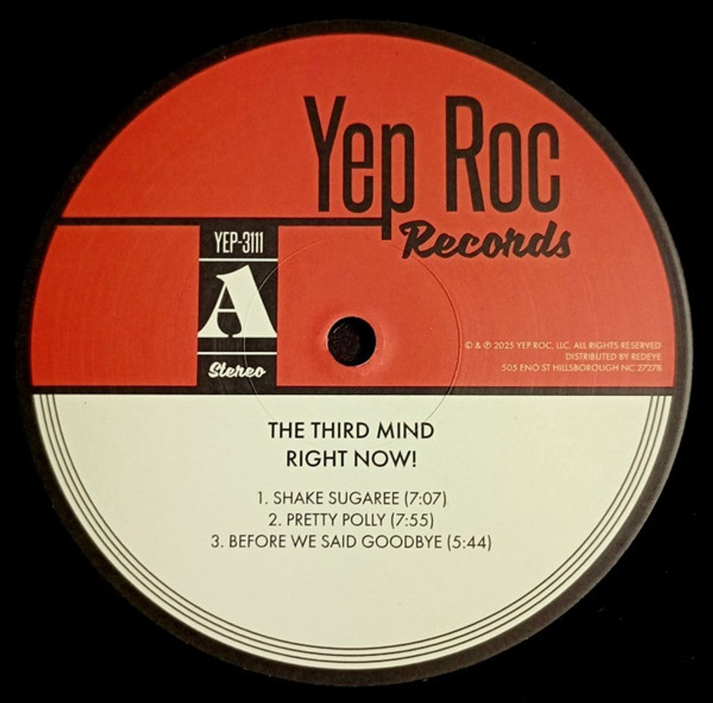 The Third Mind – Right Now (LP Vinyl)
