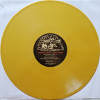 Tinsley Ellis – Naked Truth (Gold LP Vinyl)