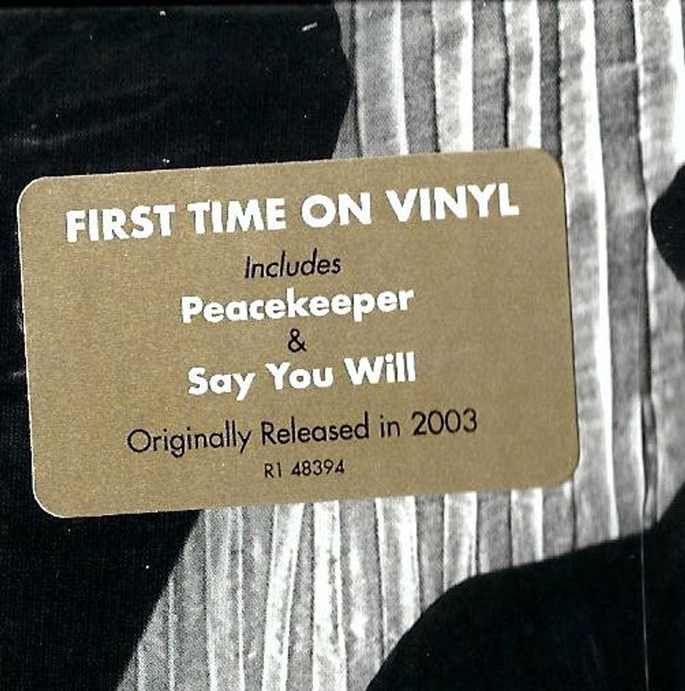 Fleetwood Mac – Say You Will (2-LP Vinyl)