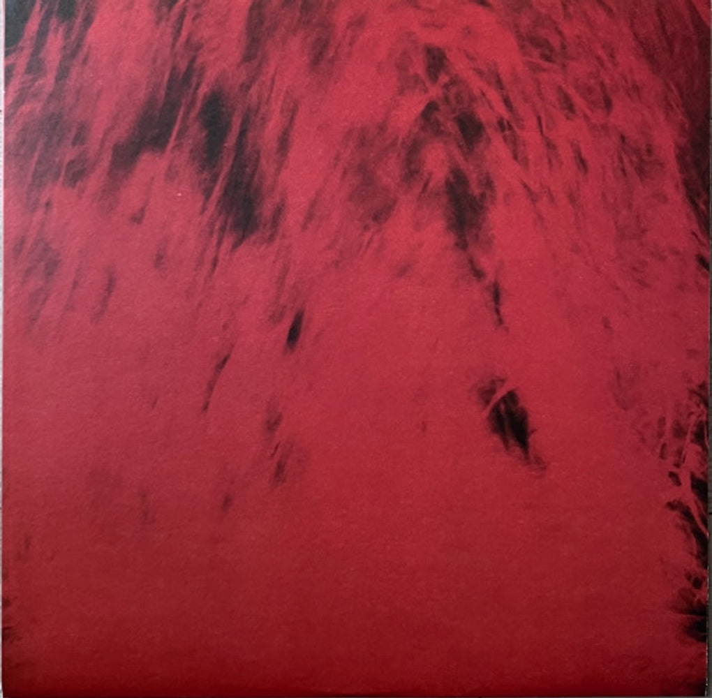 Dead Can Dance – Spiritchaser (2-LP Vinyl)