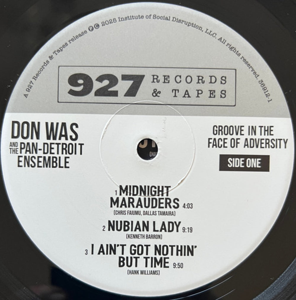 Don Was – Groove In The Face Of Adversity (LP Vinyl)
