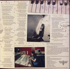 Mary Timony – Mountains (2-LP Vinyl)