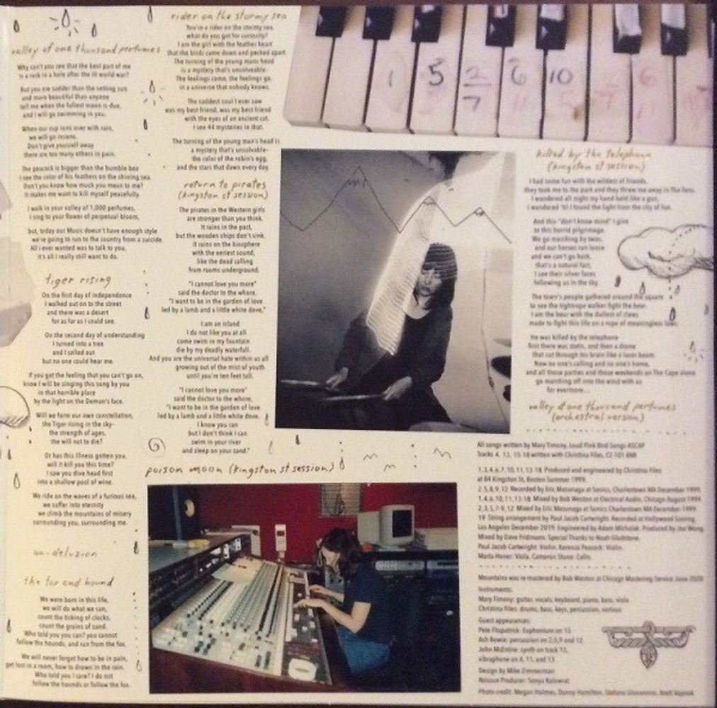 Mary Timony – Mountains (2-LP Vinyl)
