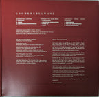 Nduduzo Makhathini – Unomkhubulwane (2-LP Vinyl)