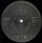 Robert Plant – lullaby and... The Ceaseless Roar (2-LP Vinyl)