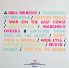 The New Pornographers – Brill Bruisers (LP Vinyl)