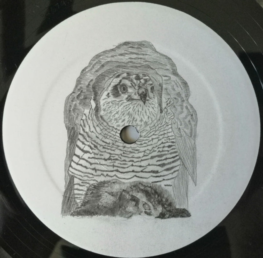 Wrekmeister Harmonies – We Love To Look At The Carnage (LP Vinyl)