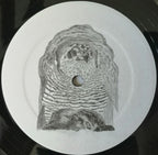 Wrekmeister Harmonies – We Love To Look At The Carnage (LP Vinyl)
