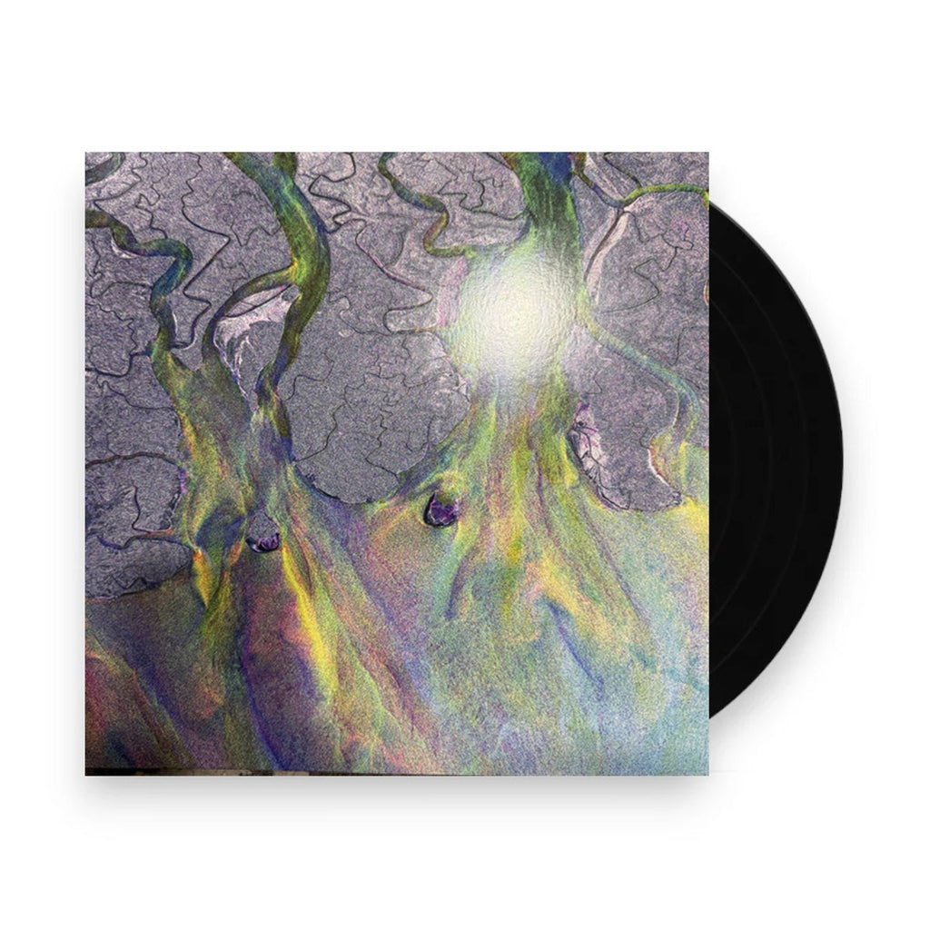 Alt-J – Awesome Wave (LP Vinyl)
