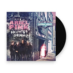 Ariel Pink's Haunted Graffiti – Before Today (LP Vinyl)