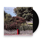 Big Nothing – Big Nothing (LP Vinyl)