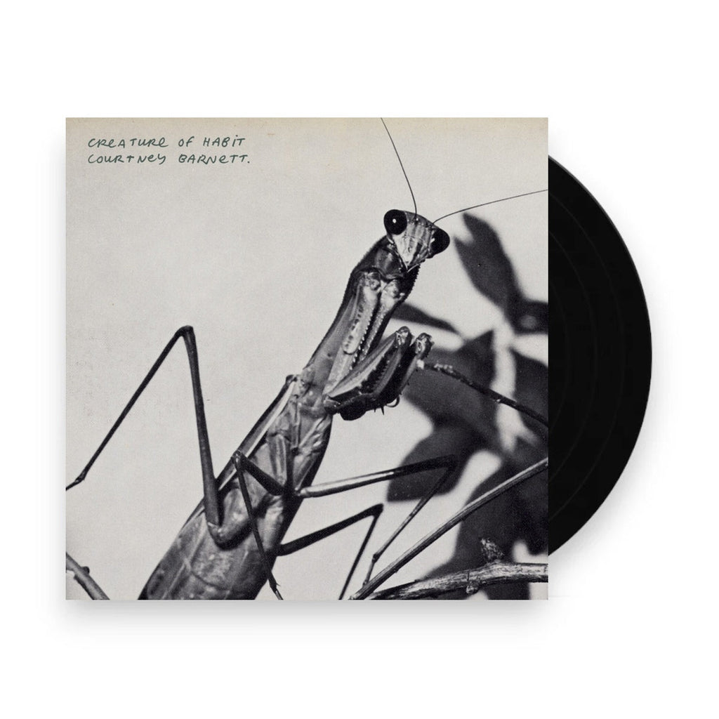 Courtney Barnett – Creature of Habit (LP Vinyl)