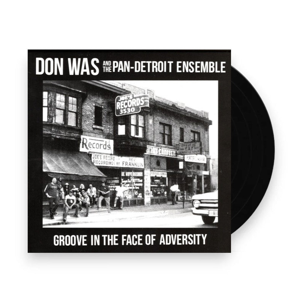 Don Was – Groove In The Face Of Adversity (LP Vinyl)