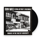 Don Was – Groove In The Face Of Adversity (LP Vinyl)