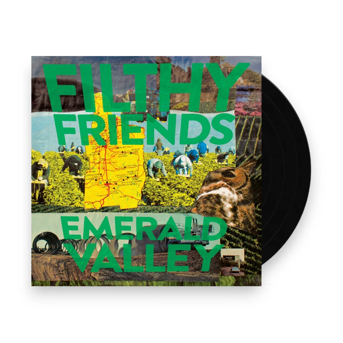 Filthy Friends – Emerald Valley (LP Vinyl)