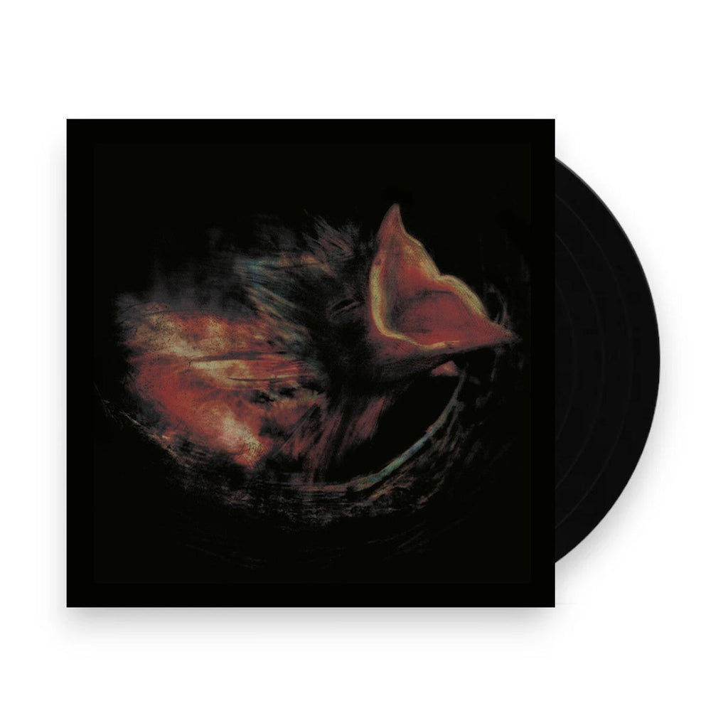 Gurriers – Nobody's Coming To Save You (LP Vinyl)