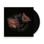 Gurriers – Nobody's Coming To Save You (LP Vinyl)
